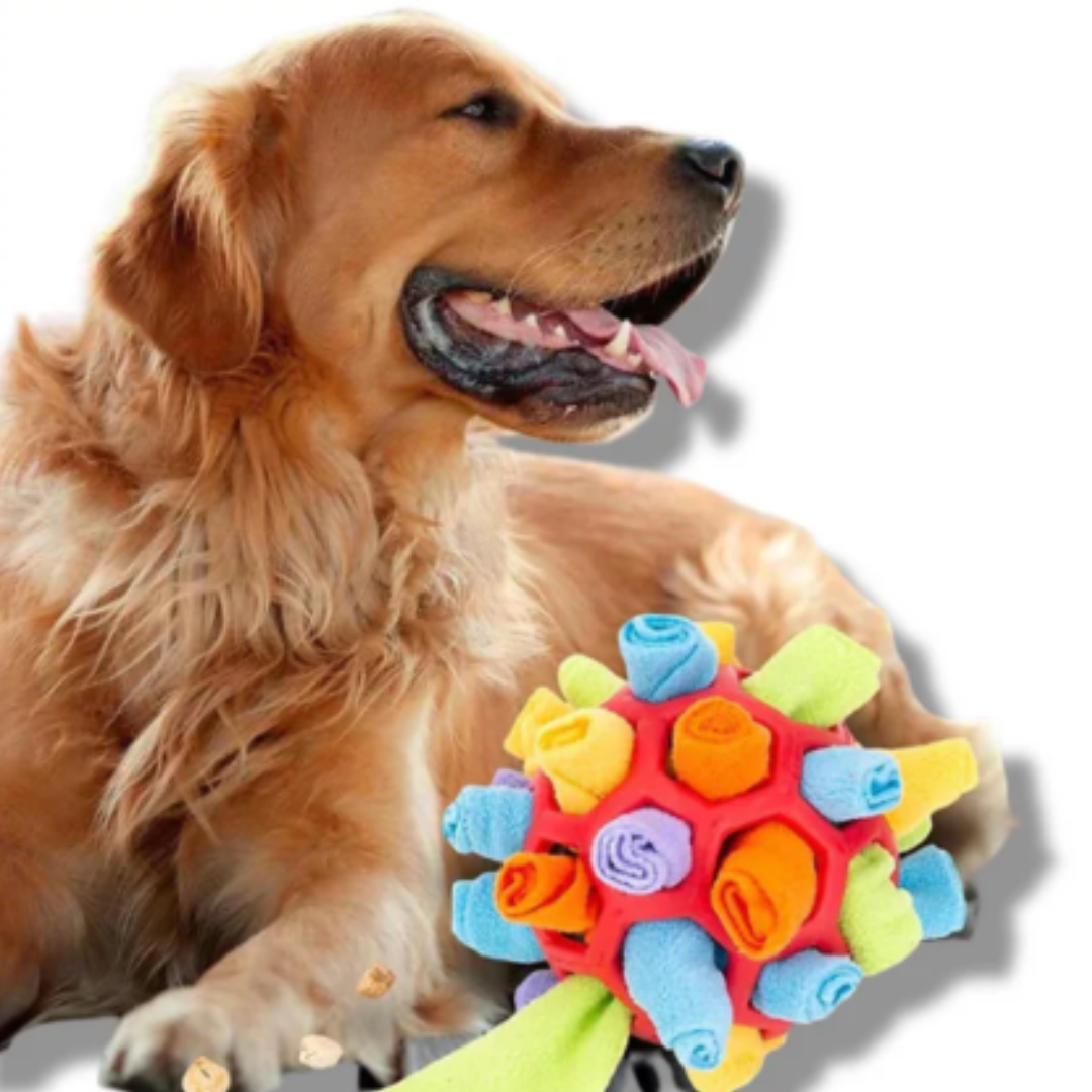 Schnüffelball für Hunde mit Leckerli-Versteck
