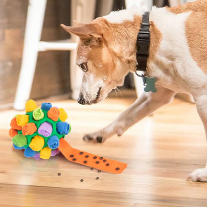 Schnüffelball für Hunde mit Leckerli-Versteck