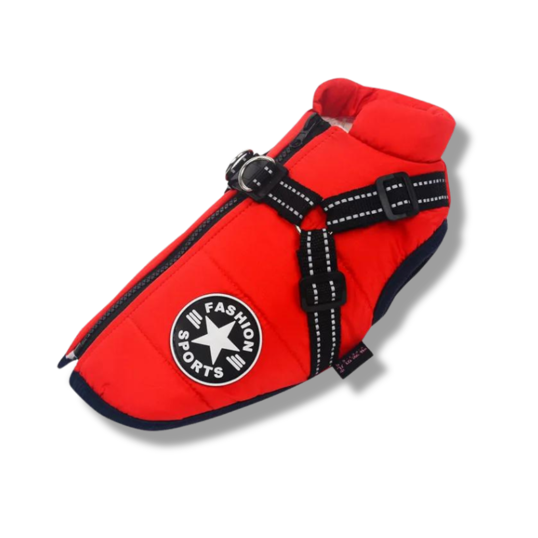 Wasserdichte Hundejacke mit Geschirr