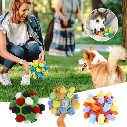 Schnüffelball für Hunde mit Leckerli-Versteck