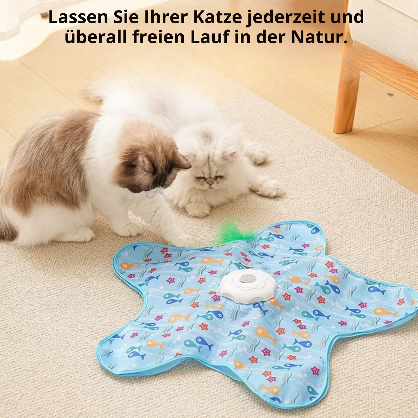 VersteckJagd Katzen Spielmatte
