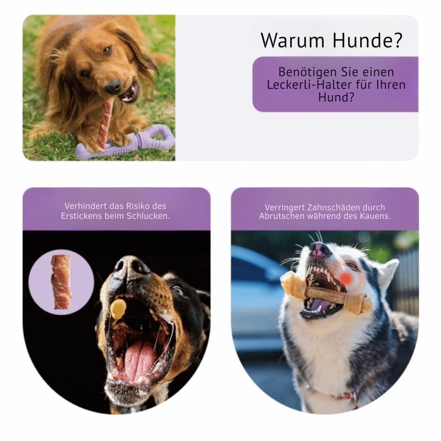 DrehKau Interaktives Kauspielzeug für Hunde