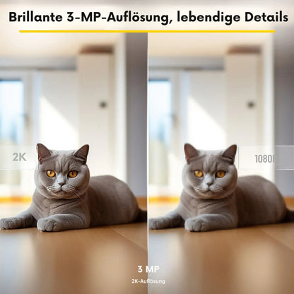 Boykeep 2K Smart Haustierkamera mit App-Steuerung | 360° Indoor Hund- & Baby-Monitor mit Nachtsicht