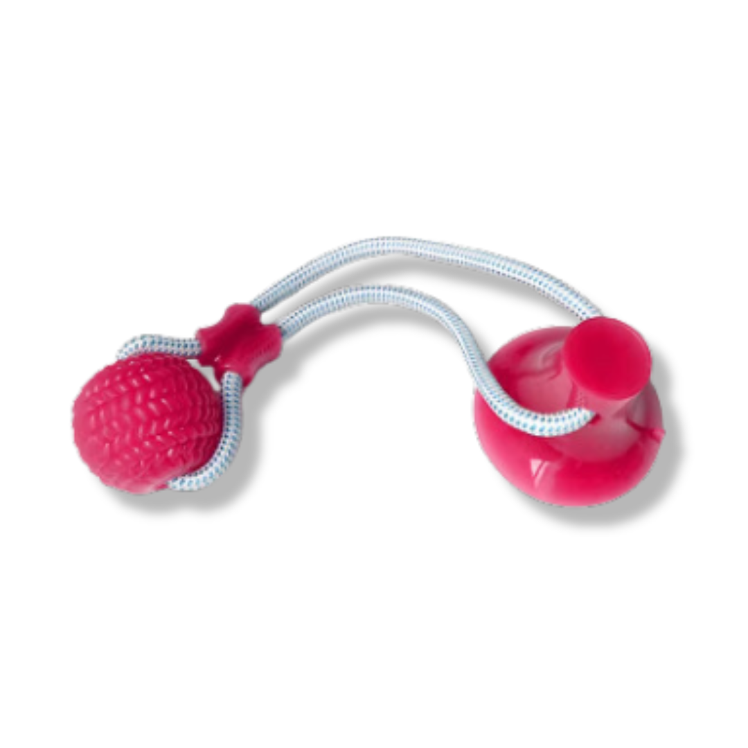 Hundespielball mit Saugnapf