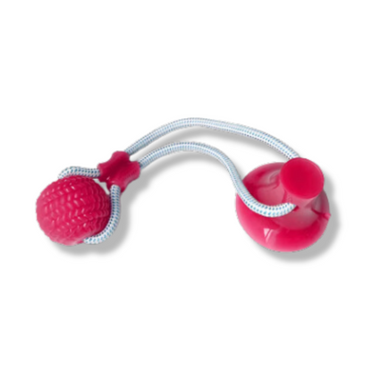 Hundespielball mit Saugnapf