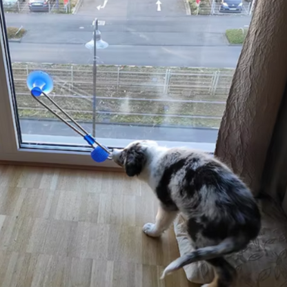 Hundespielball mit Saugnapf