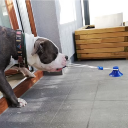 Hundespielball mit Saugnapf