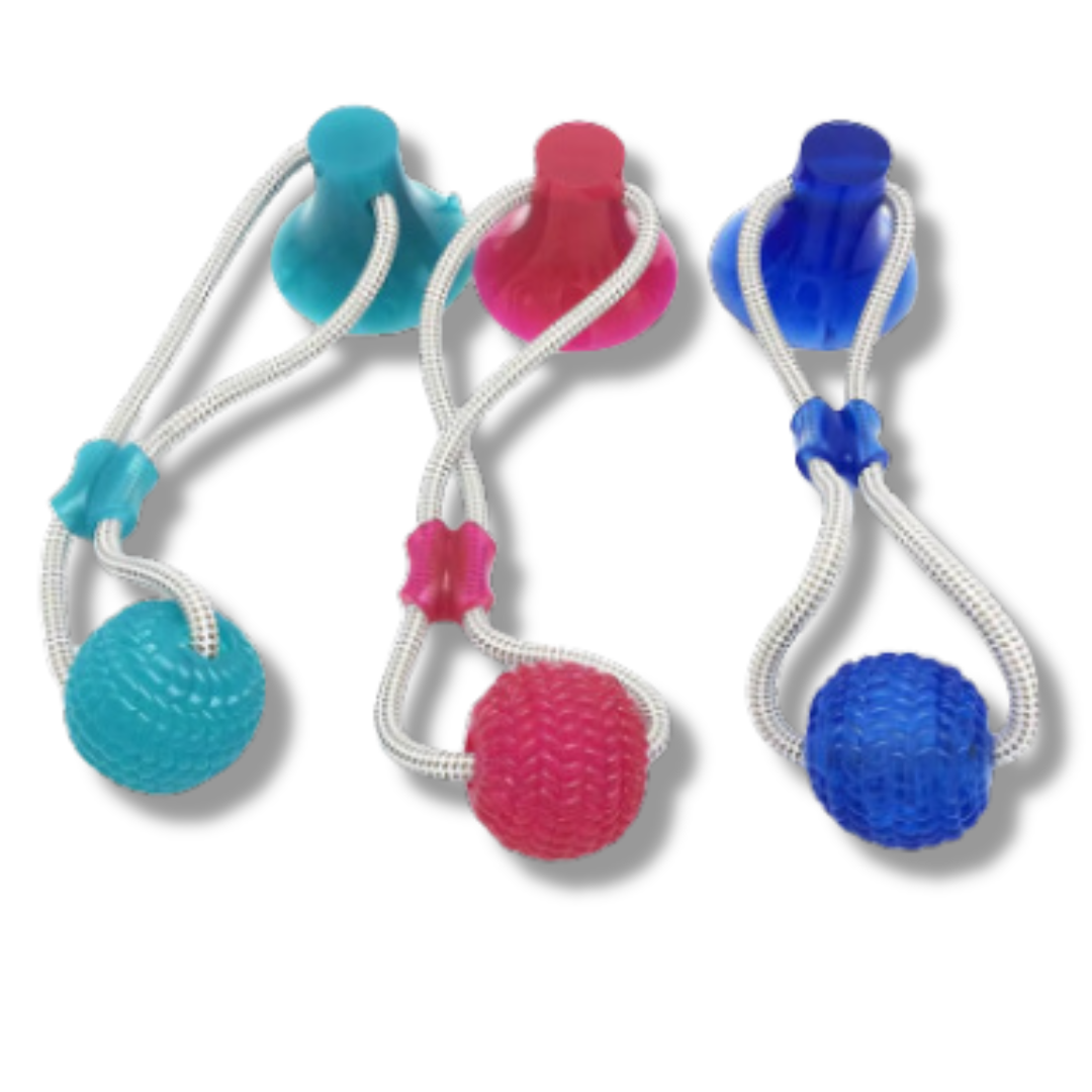 Hundespielball mit Saugnapf