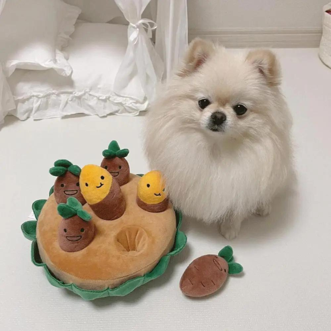 Schnüffelmatte für Hunde