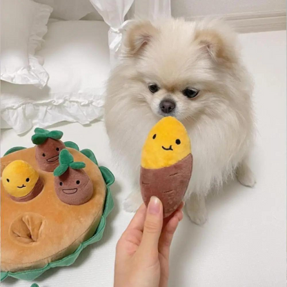 Schnüffelmatte für Hunde