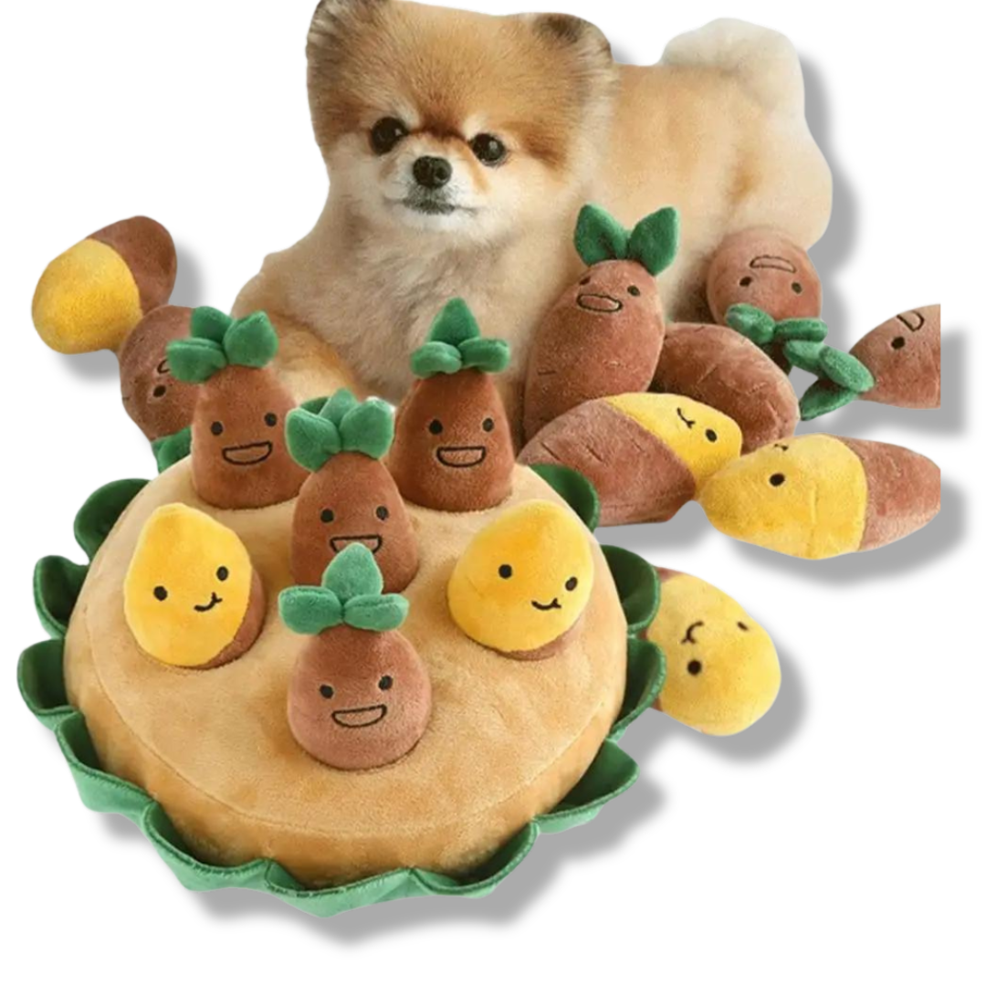 Schnüffelmatte für Hunde