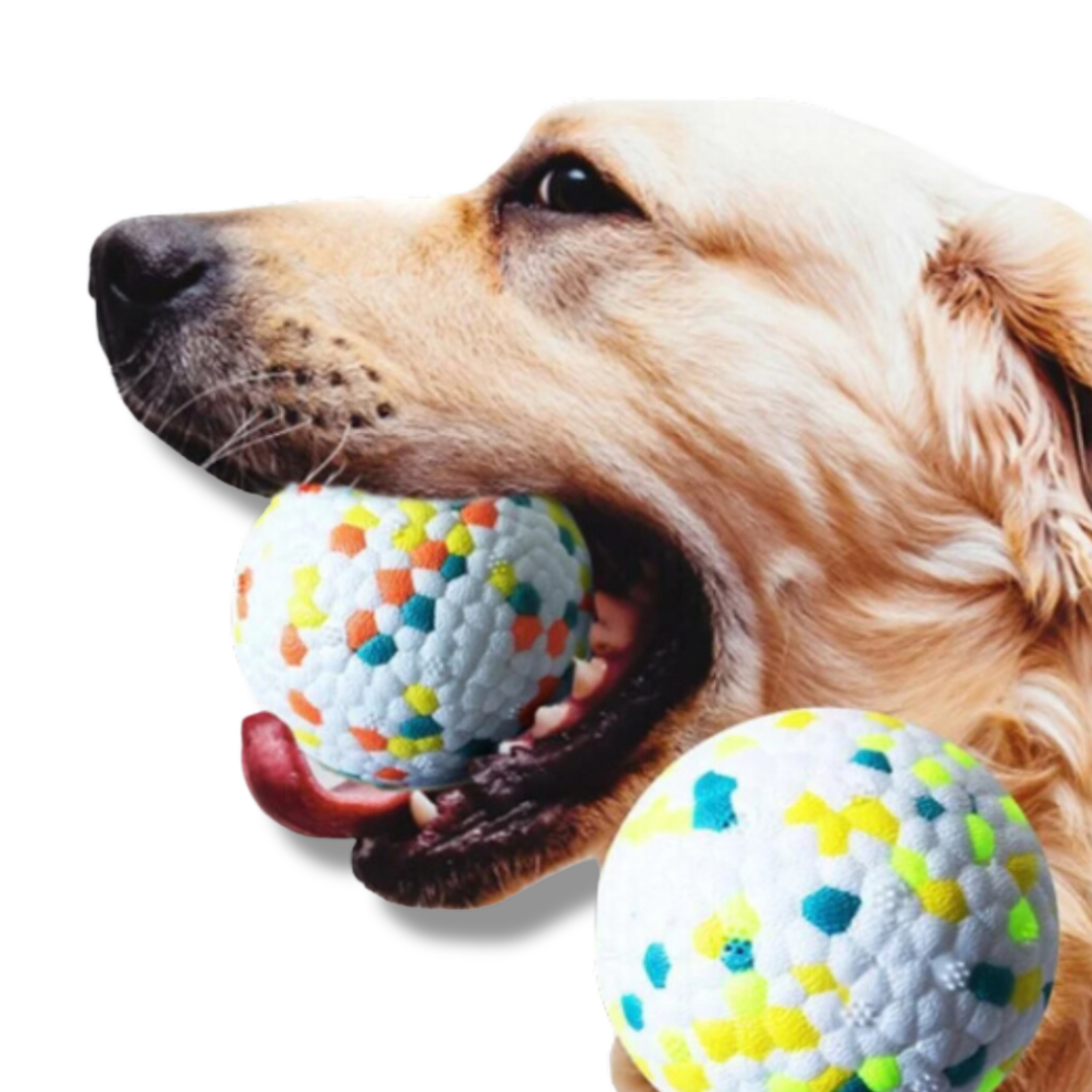 Robuster Wurfball für Hunde