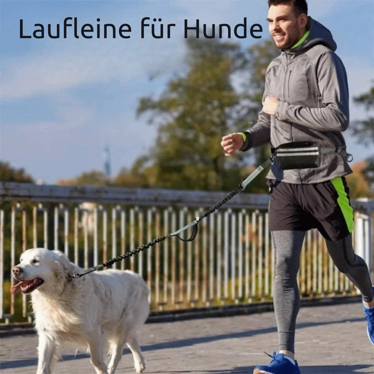 Reflektierende Freihand-Hundeleine mit Hüftgurt & Aufbewahrungstasche