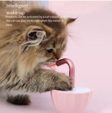 Intelligentes Laser Katzenspielzeug