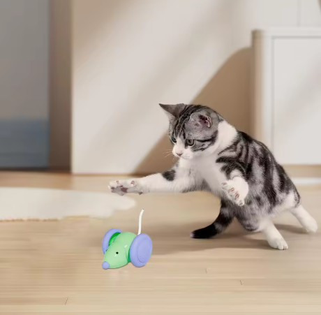 Interaktive Elektrische Maus für Katzen