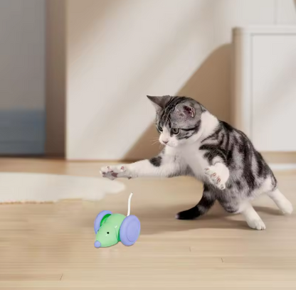 Interaktive Elektrische Maus für Katzen