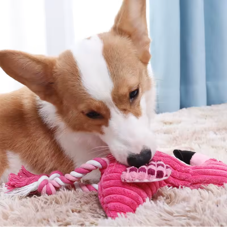 Robustes Flamingo Hundespielzeug