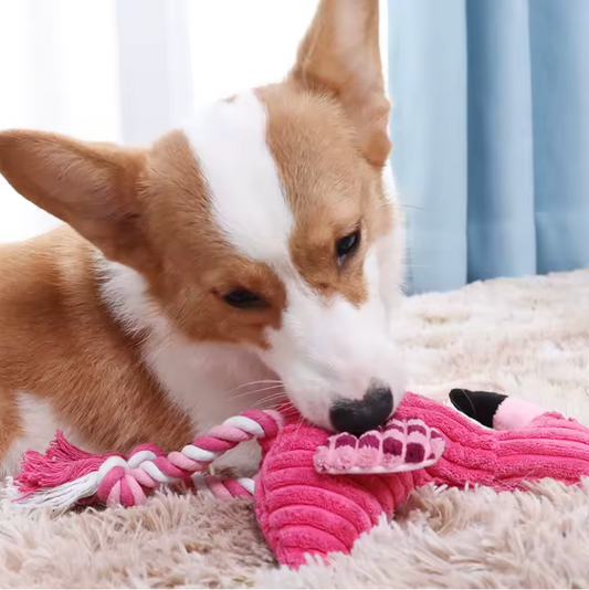 Robustes Flamingo Hundespielzeug