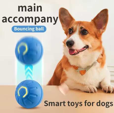 Interaktiver Springball für Hunde