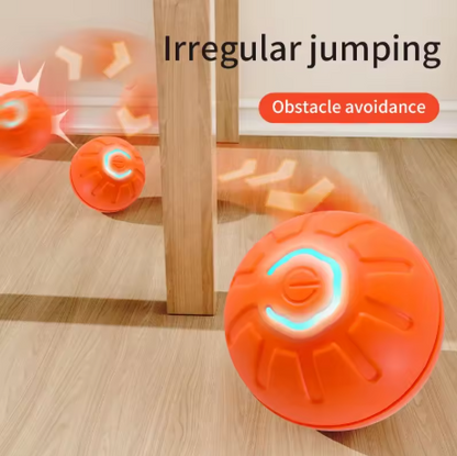 Interaktiver Springball für Hunde