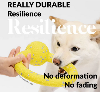 Robuster Kauspielring für Hunde