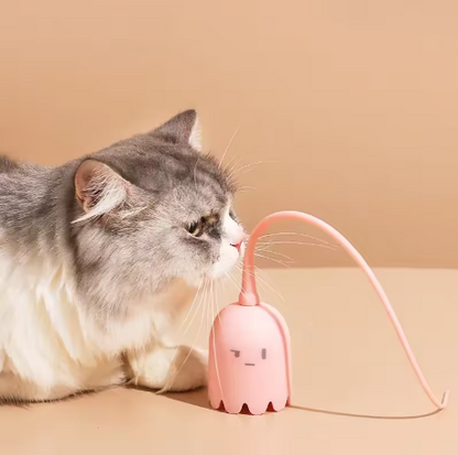 Interaktives Geisterspielzeug für Katzen