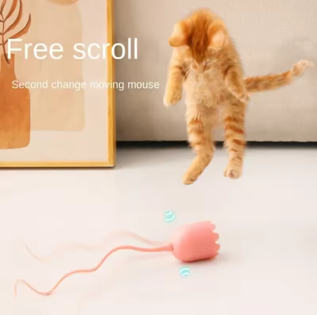 Interaktives Geisterspielzeug für Katzen