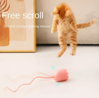 Interaktives Geisterspielzeug für Katzen