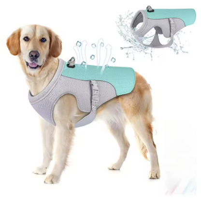 KühlPfote Hunde Kühlweste