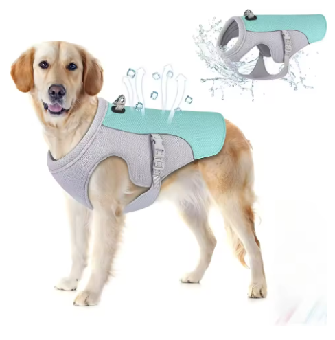 KühlPfote Hunde Kühlweste