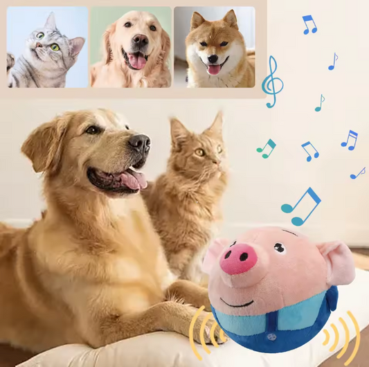 Interaktives Schwein Spielzeug für Hunde