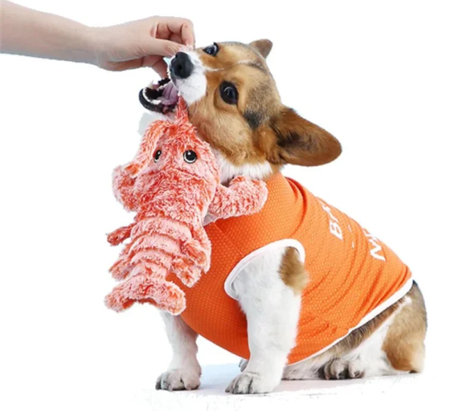 Interaktives Hummer Spielzeug für Hunde