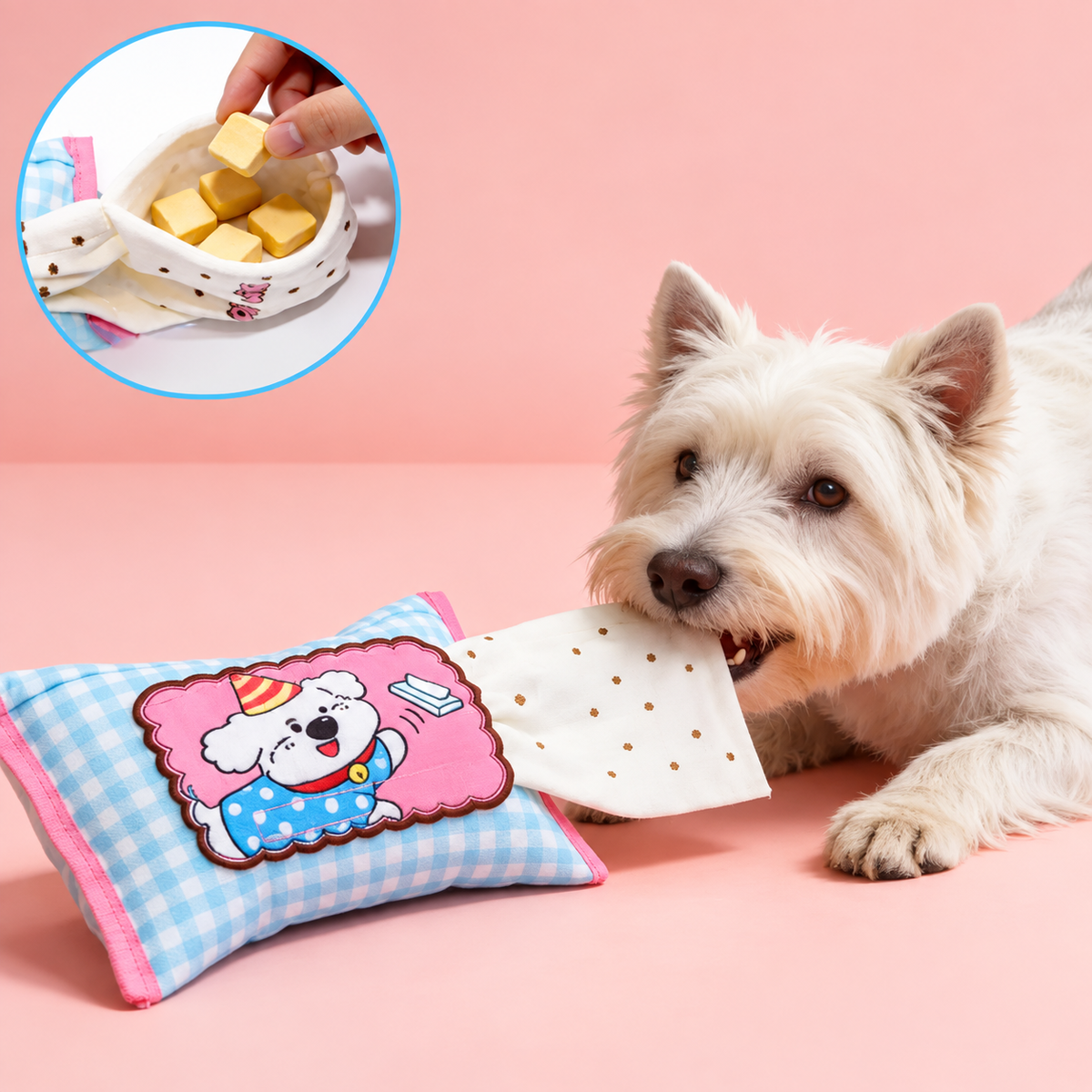SchnüffelPfoten – Schnüffel- & Suchspielzeug 🐶🐱