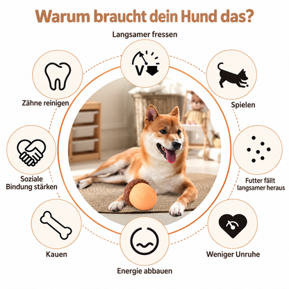 Hunde – Leckerli-Rätsel 🐶🌰