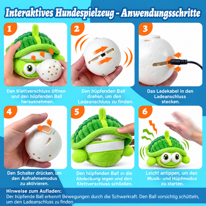 Aufladbares Hüpfspielzeug für Haustiere 🐾🎵