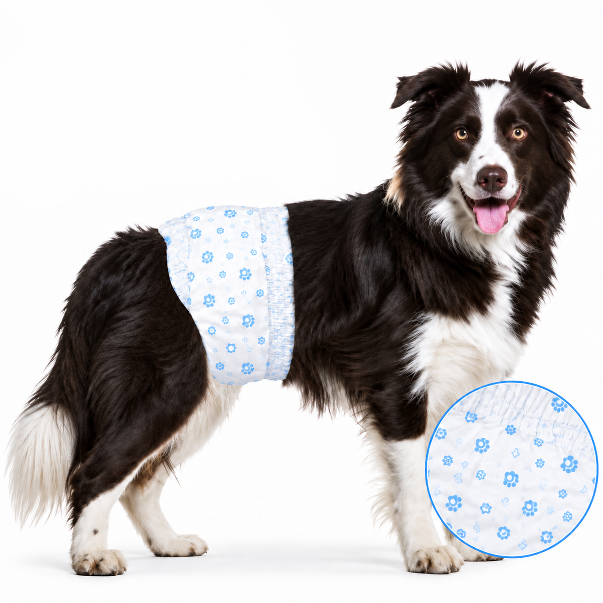 Einweg-Hundewindeln – 40er-Pack 🐶💧