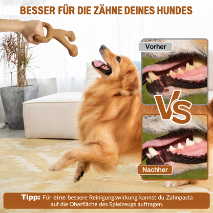 Robustes Kauspielzeug für Hunde