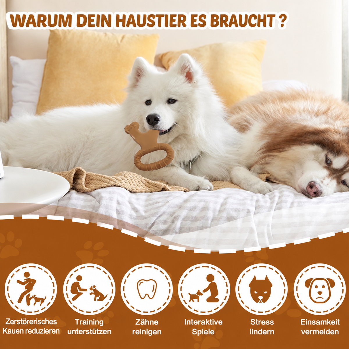 Robustes Kauspielzeug für Hunde