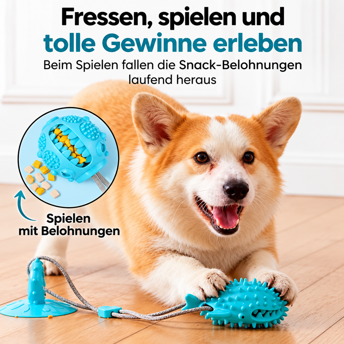 ZerrMeister – Zerrspielzeug mit Saugnapf 🐶💪