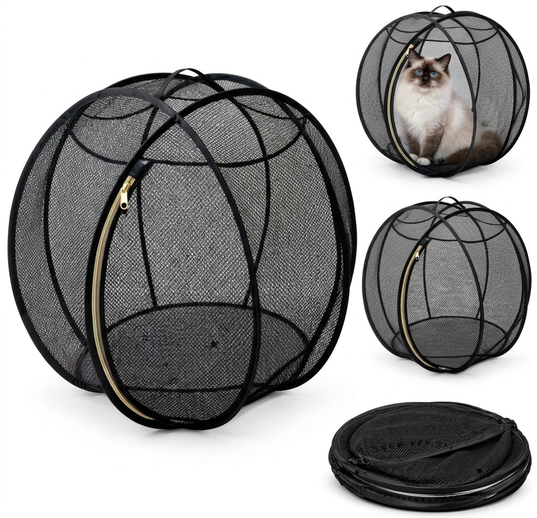 RollyBall – Aufklapp-Laufball für Katzen 🐱🌐