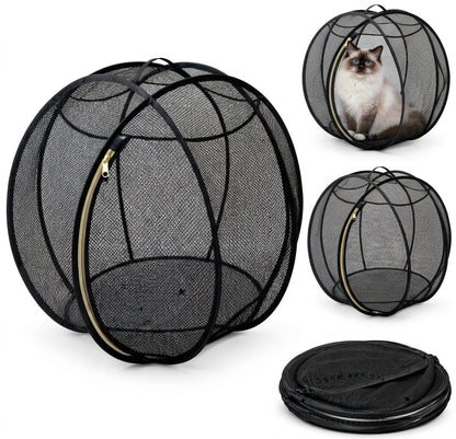 RollyBall – Aufklapp-Laufball für Katzen 🐱🌐