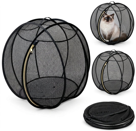 RollyBall – Aufklapp-Laufball für Katzen 🐱🌐