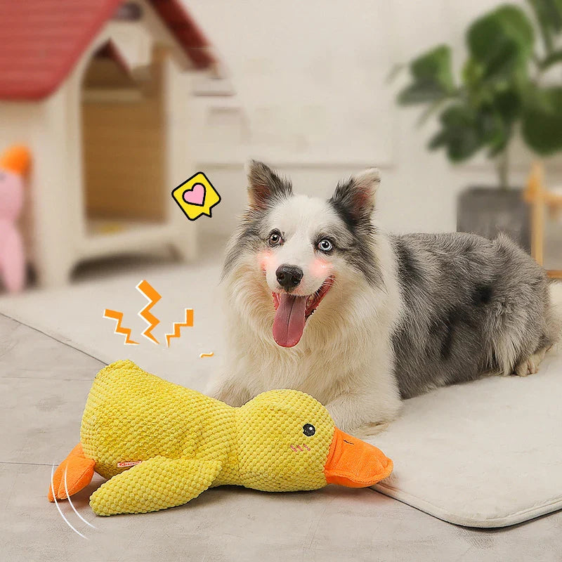 Beruhigende Quietscheente für Hunde