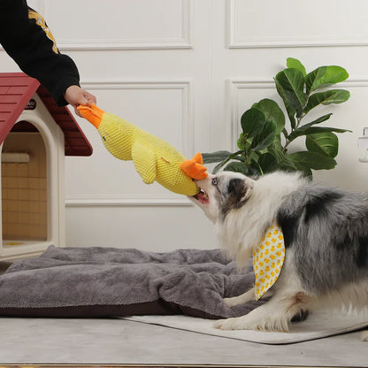 Beruhigende Quietscheente für Hunde