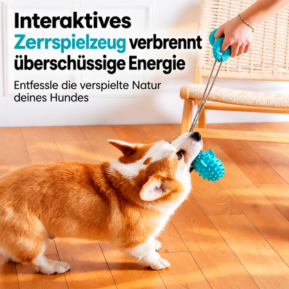 ZerrMeister – Zerrspielzeug mit Saugnapf 🐶💪
