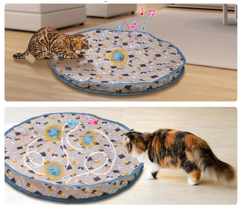 Interaktives Versteckspiel für Katzen