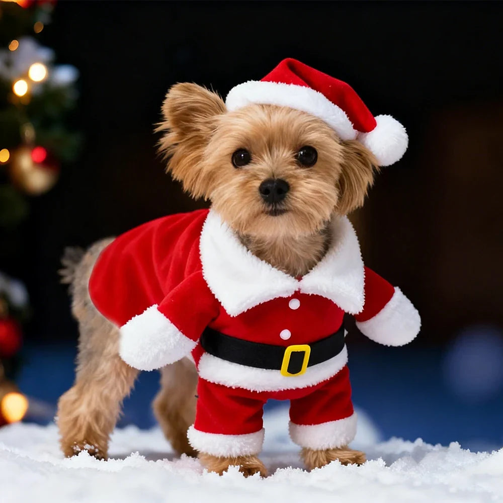 Weihnachtsmann-Kostüm für Haustiere 🎅🐾