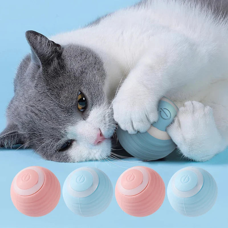 Automatischer Beweglicher Katzenball