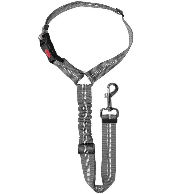 2-in-1 Haustier Sicherheitsgurt-Leine