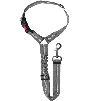 2-in-1 Haustier Sicherheitsgurt-Leine